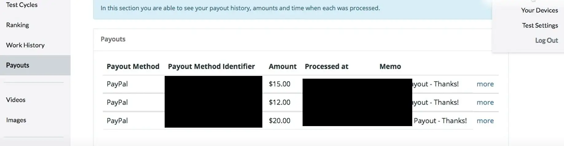 testerwork payment proof