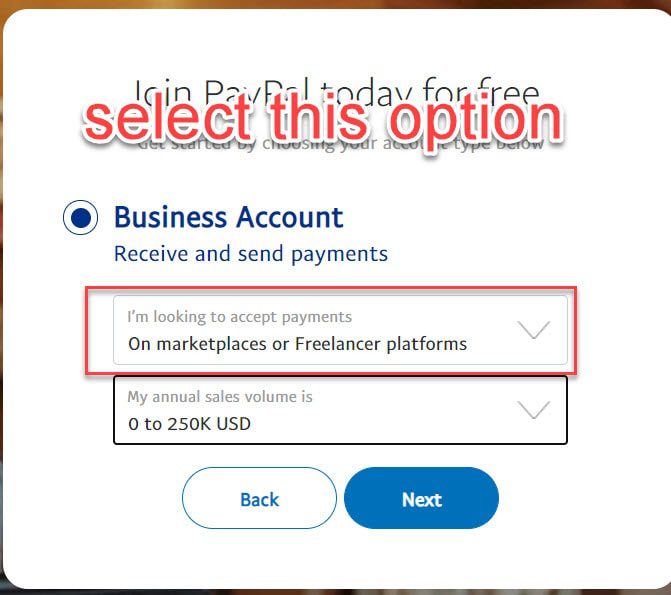 Business account setup paypal