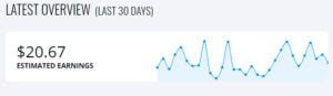 ezoic monthly earnings for pageviews