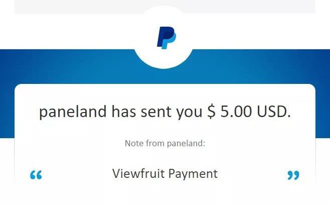 Viewfruit Payment Proof